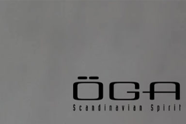 Öga